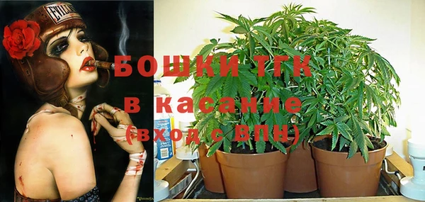 дмт Абаза