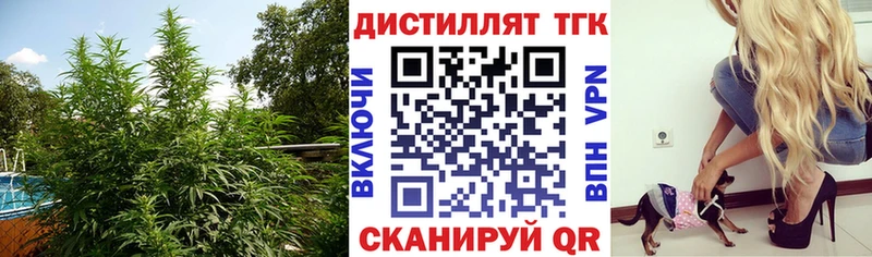 сколько стоит  Гдов  Дистиллят ТГК Wax 