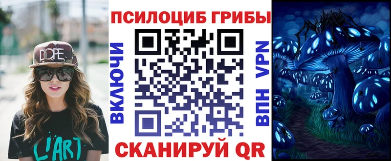 Галлюциногенные грибы MAGIC MUSHROOMS  mega зеркало  Гдов 