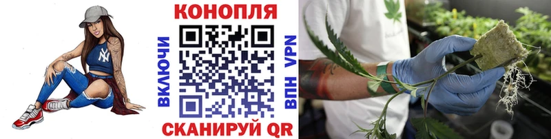 закладка  hydra как зайти  Бошки марихуана Bruce Banner  Гдов 